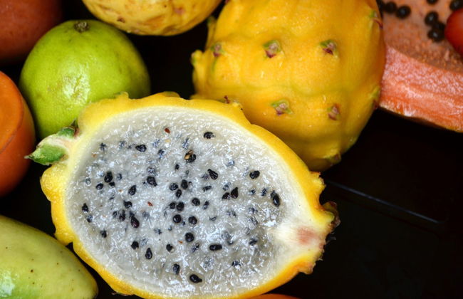 Tour de la fruta colombiana - Foto 4