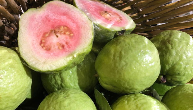 Tour della frutta colombiana - Foto 3