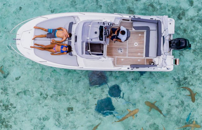 Aluguel de barco privado com capitão - Foto 7