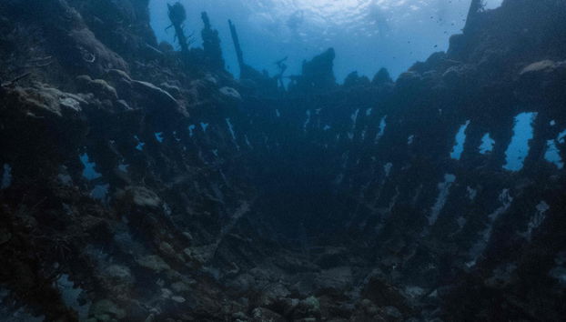 Barracuda Lake & Skeleton Wreck Tour - Foto 5