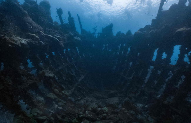 Tour pelo lago Barracuda e Skeleton Wreck - Foto 5