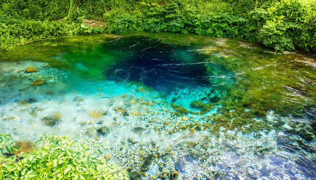 National Park of Blue Eye + Fortress of Lekuresi Tour - Foto 3