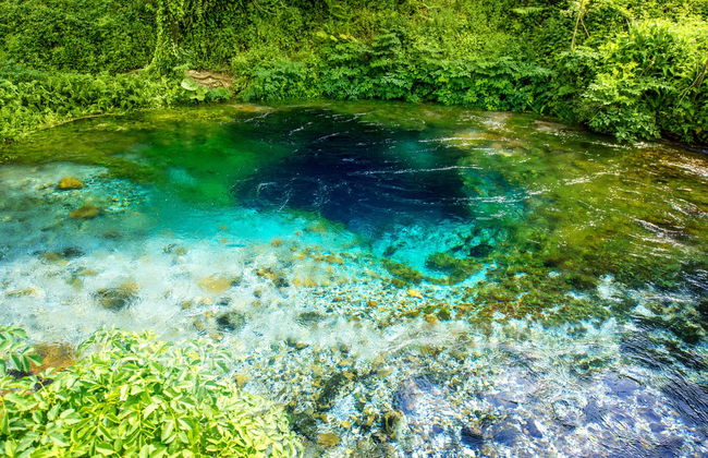 National Park of Blue Eye + Fortress of Lekuresi Tour - Foto 3