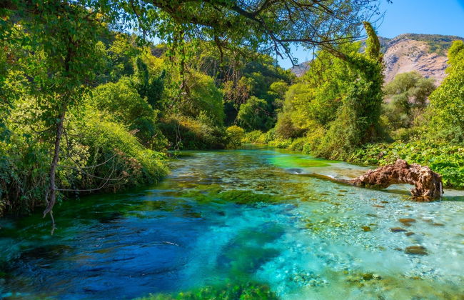National Park of Blue Eye + Fortress of Lekuresi Tour - Foto 2