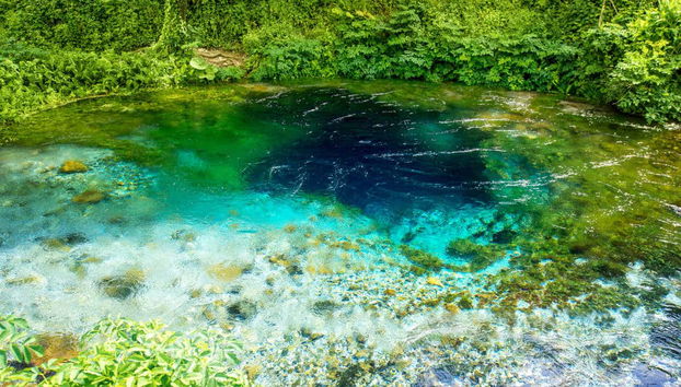 National Park of Blue Eye + Fortress of Lekuresi Tour - Foto 3