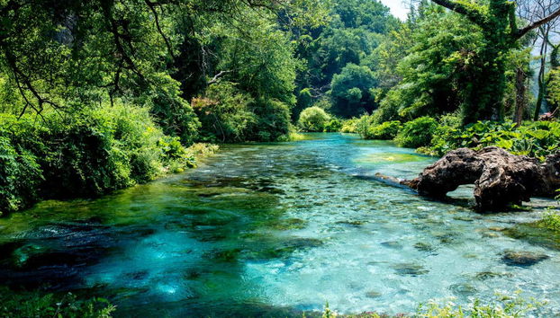 National Park of Blue Eye + Fortress of Lekuresi Tour - Foto 4