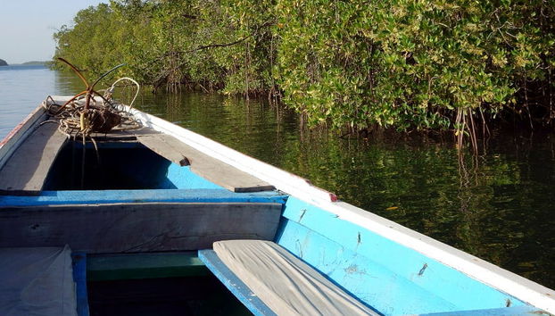 Excursión privada al delta del Salum - Foto 4