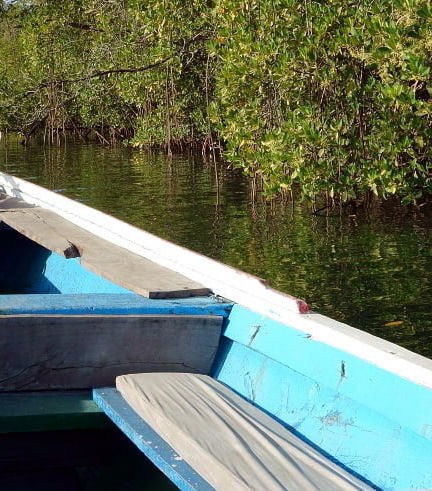 Foto de Excursión privada al delta del Salum