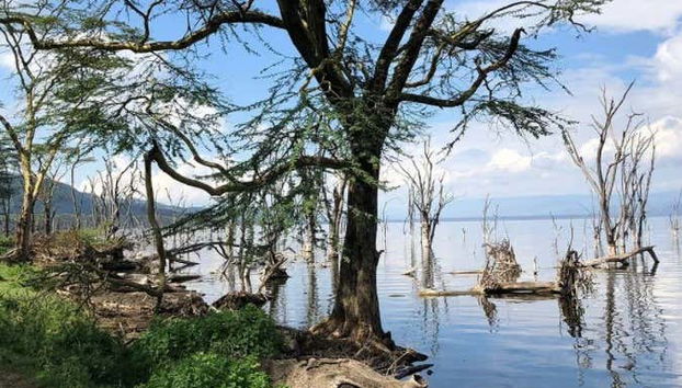 Safari de 6 días por Masái Mara, Amboseli y lago Naivasha - Foto 3