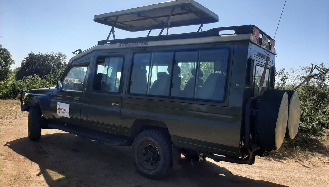South Kenya 6-Day Tour - Foto 1