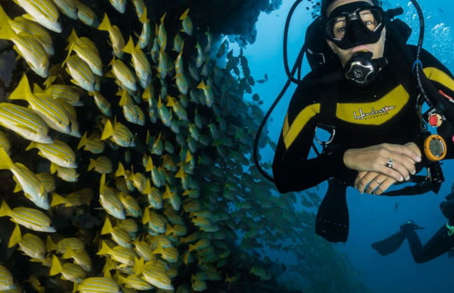 Bautismo de buceo en Maafushi - Foto 7