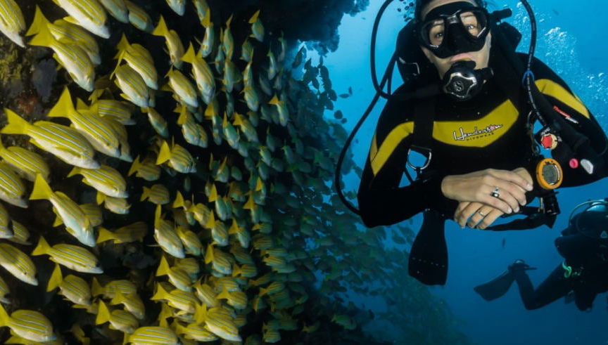 Bautismo de buceo en Maafushi