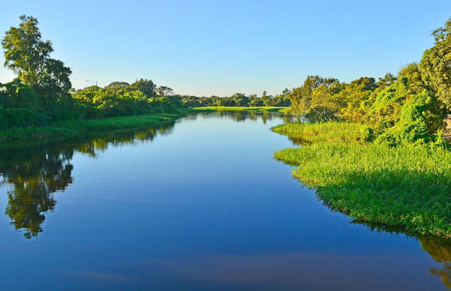 Tour en kayak por el río Paraguay - Photo 7