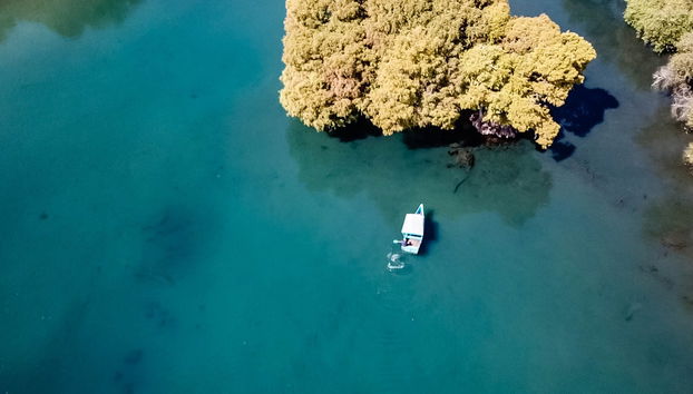 Excursión al santuario Guadalupano y lago de Camécuaro - Foto 5