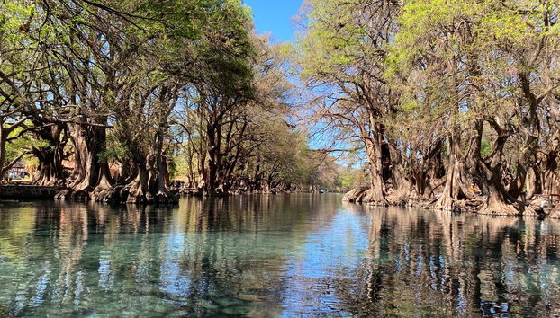 Excursión al santuario Guadalupano y lago de Camécuaro - Foto 3