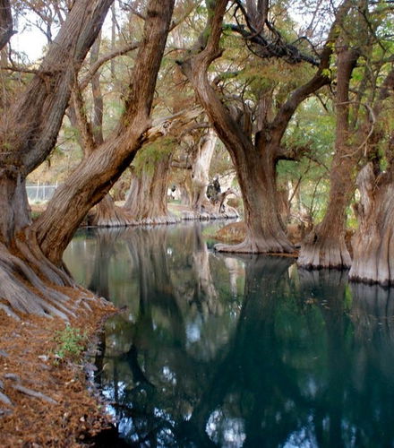 Foto de Excursión al santuario Guadalupano y lago de Camécuaro