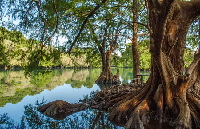 Excursión al santuario Guadalupano y lago de Camécuaro - Foto 1