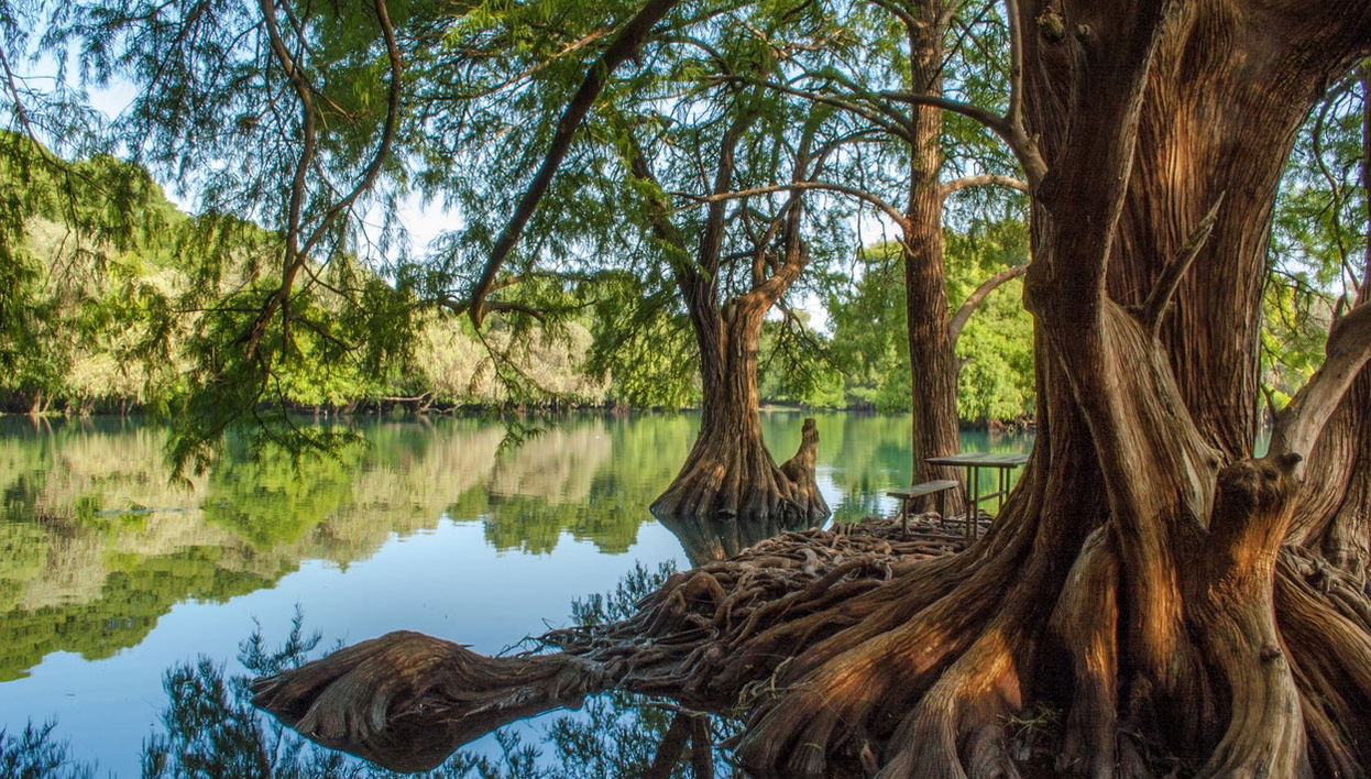 Excursión al santuario Guadalupano y lago de Camécuaro - Foto 1