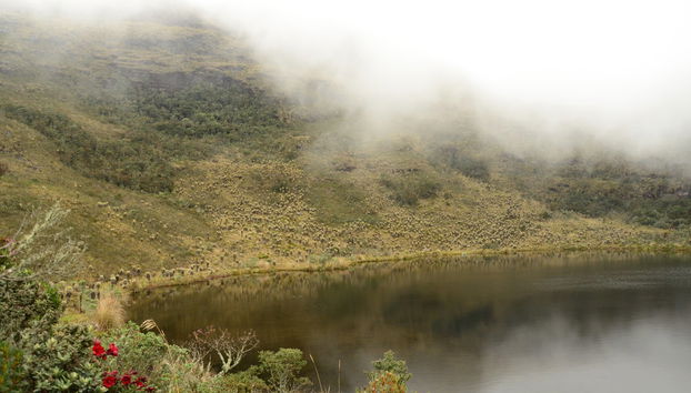 Randonnée au Sanctuaire de la Faune et de la Flore Iguaque - Photo 3