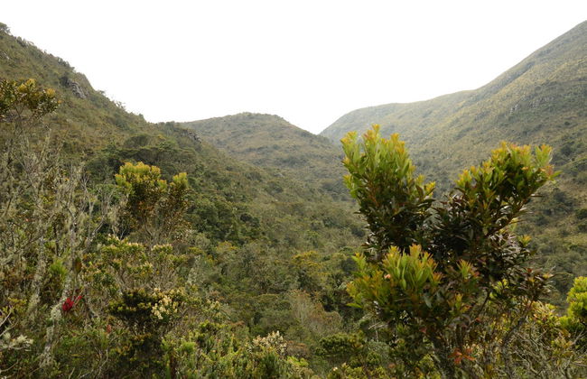 Randonnée au Sanctuaire de la Faune et de la Flore Iguaque - Photo 2