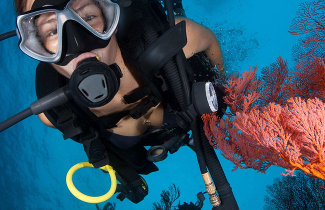 Buceo en Addu - Foto 5
