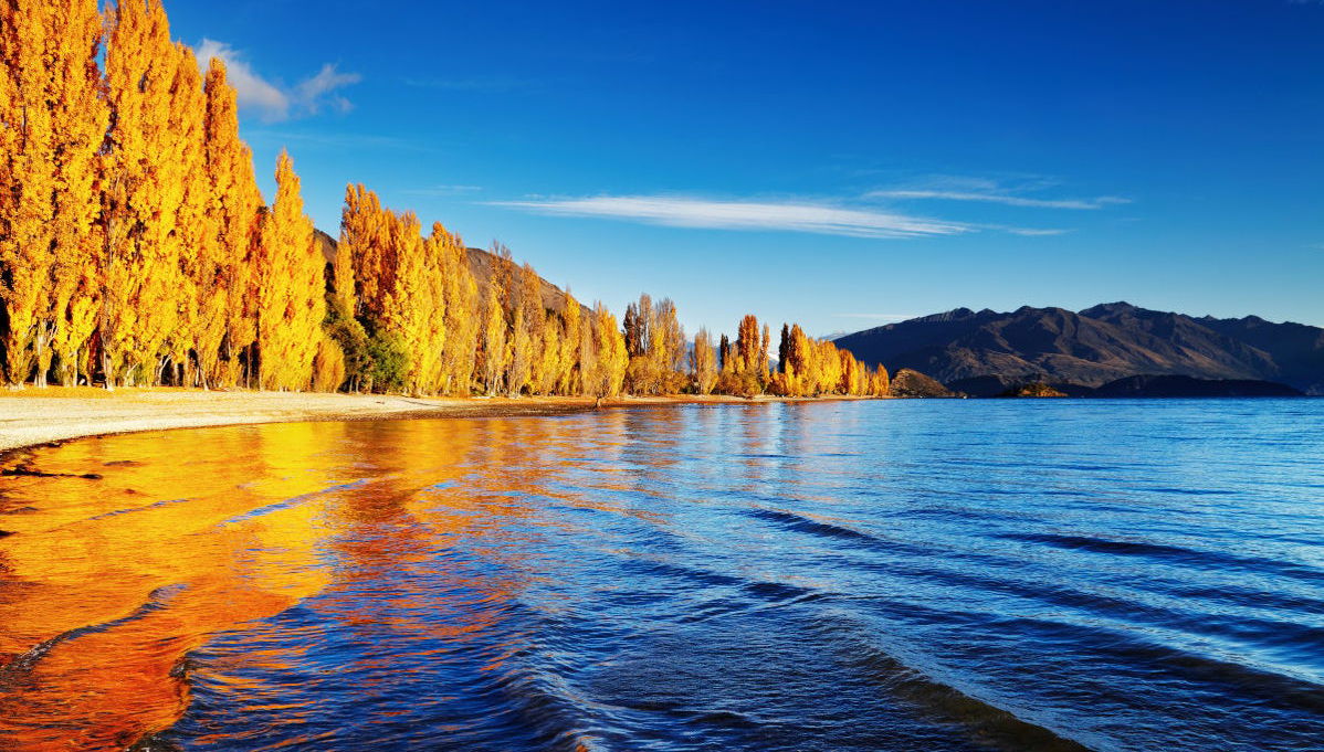 Balade en bateau sur le lac Wanaka - Photo 1