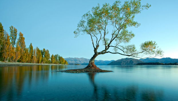 Balade en bateau sur le lac Wanaka - Photo 2