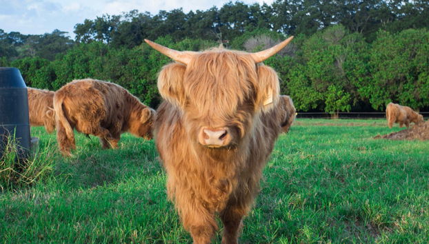 Tour por Byron Bay - Foto 3