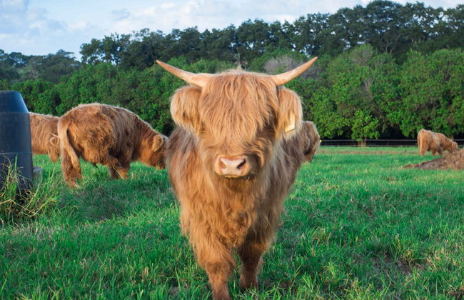 Tour por Byron Bay - Foto 3