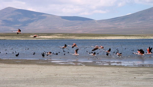 Tour to Sama Reserve & Laguna Grande of Tajzara - Foto 4