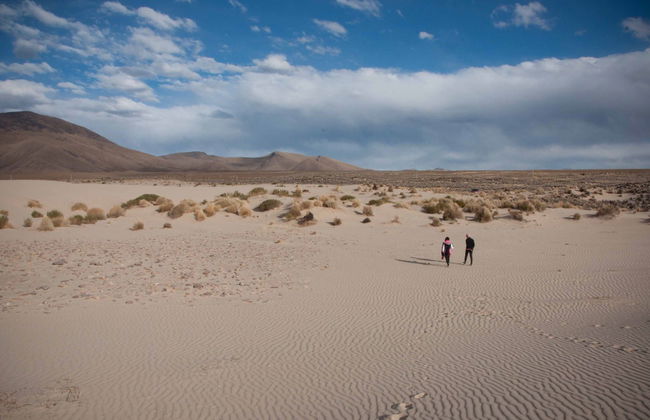 Excursion à la réserve de Sama + Laguna Grande de Tajzara - Photo 4