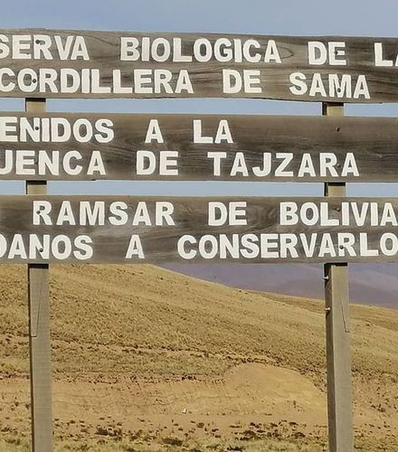 Foto de Excursión a la Reserva de Sama + Laguna Grande de Tajzara