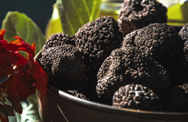 Tour gastronomico dell'Istria - Foto 3