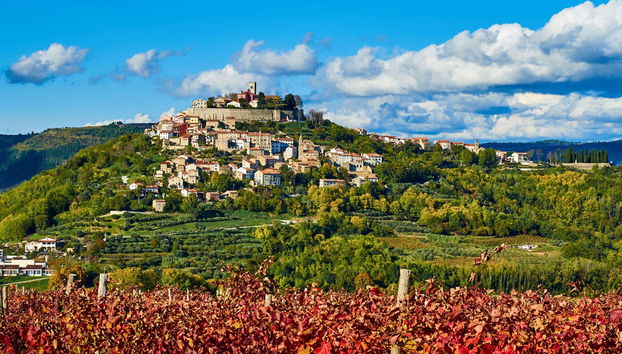 Istria Food Tour - Photo 3