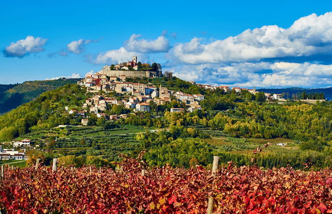 Tour gastronomico dell'Istria - Foto 3