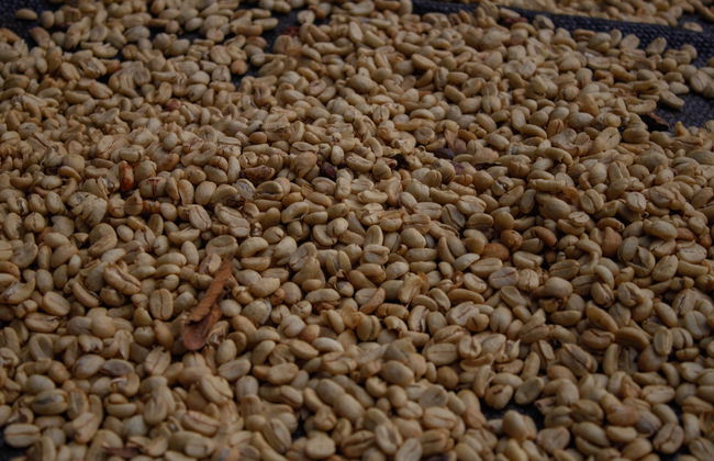 Villa Rica Coffee Tour - Photo 5