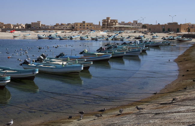 Private Day Trip to Mirbat - Foto 6