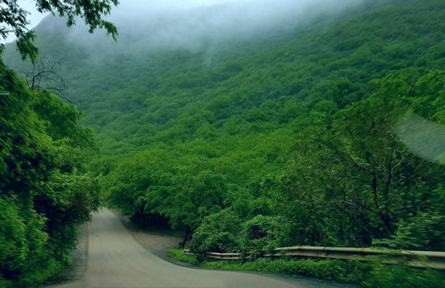 Private Day Trip to Mirbat - Photo 2