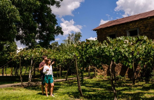 Tour dei Caminhos de Pedra - Foto 4