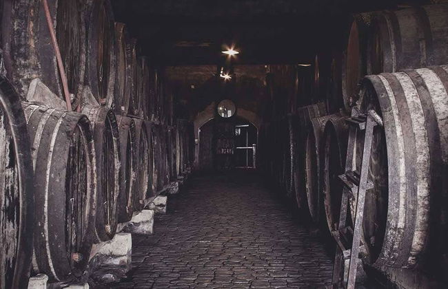 Monje Winery Guided Tour & Wine Tasting - Foto 7