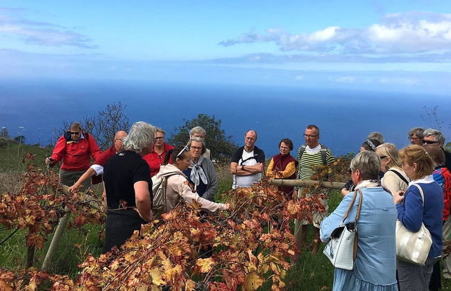 Monje Winery Guided Tour & Wine Tasting - Foto 6