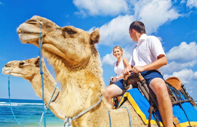 Giro in cammello sulle Dune di Maspalomas - Foto 1