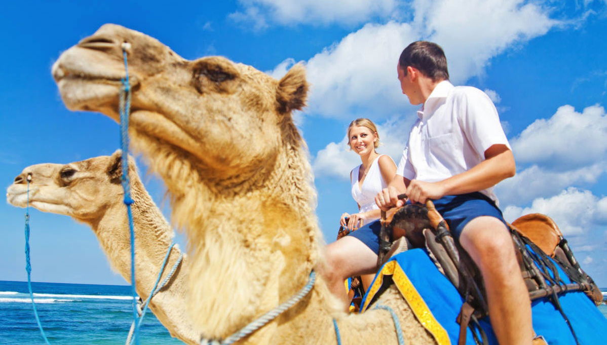 Passeio de camelo pelas dunas de Maspalomas - Foto 1