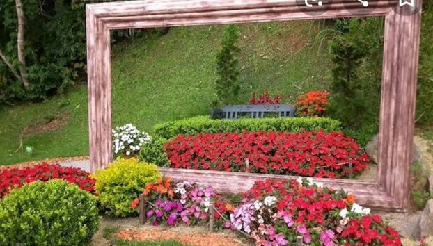 Tour panorâmico por Campos do Jordão + Parque Amantikir - Foto 4