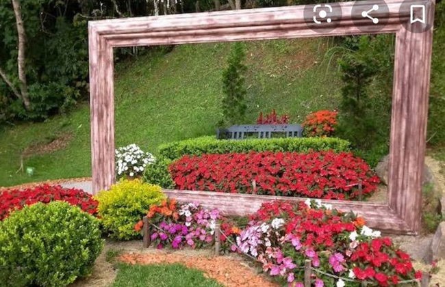 Tour panorâmico por Campos do Jordão + Parque Amantikir - Foto 4