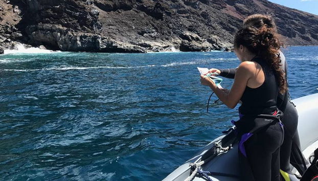 Beginners Scuba Diving Experience - Foto 3