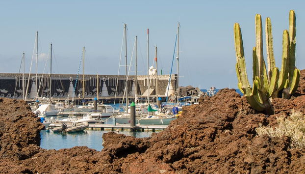 Beginners Scuba Diving Experience - Foto 4