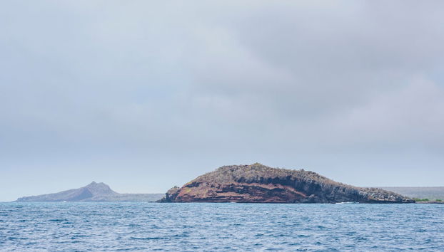 South Galapagos Islands 5 Day Cruise - Photo 4