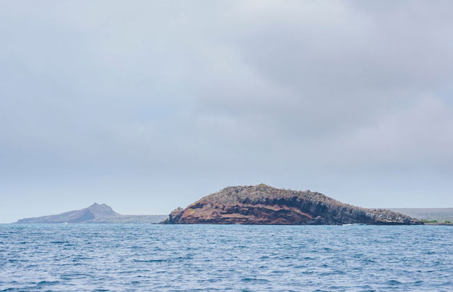 Crociera di 5 giorni nel sud delle Galapagos - Foto 4