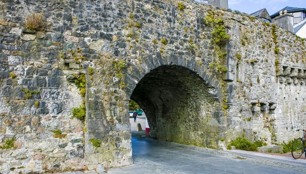 Galway Sightseeing Bus - Foto 4